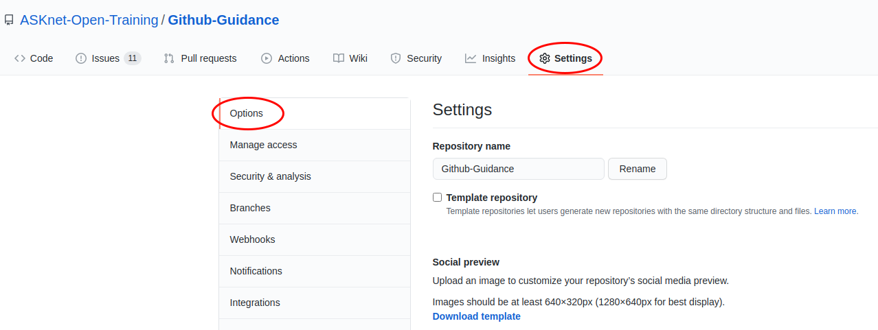 Github Repo settings